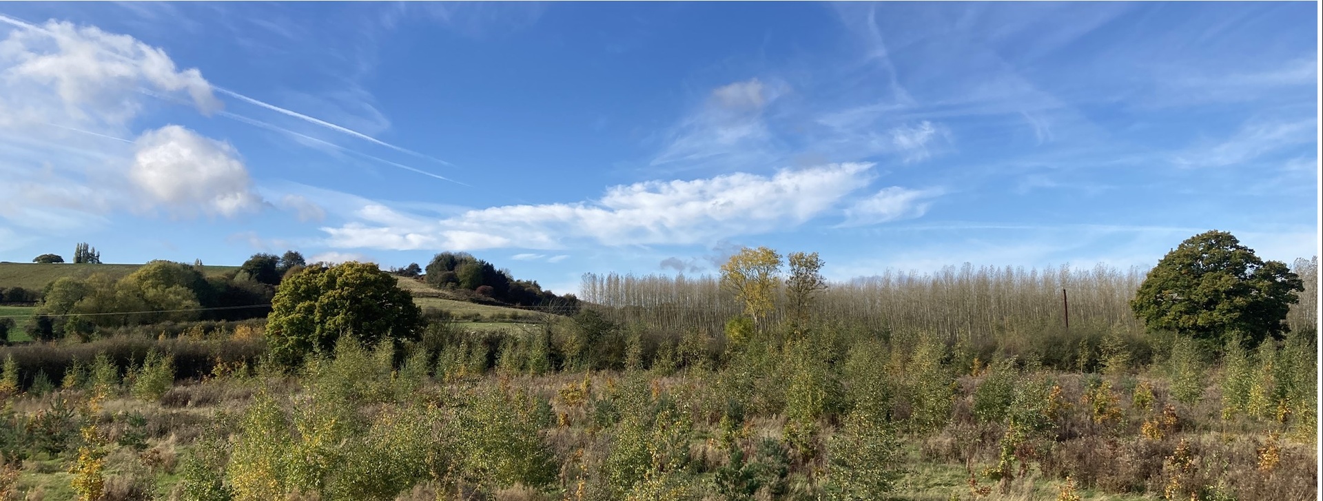 Spring Hill Farm